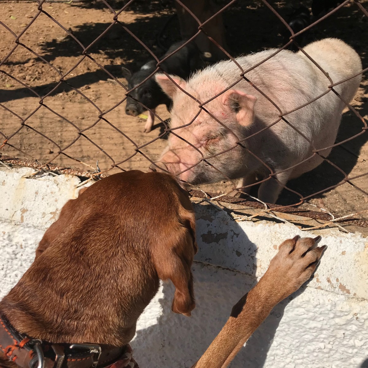 8On11%jIS5CqfNtWohUpWA